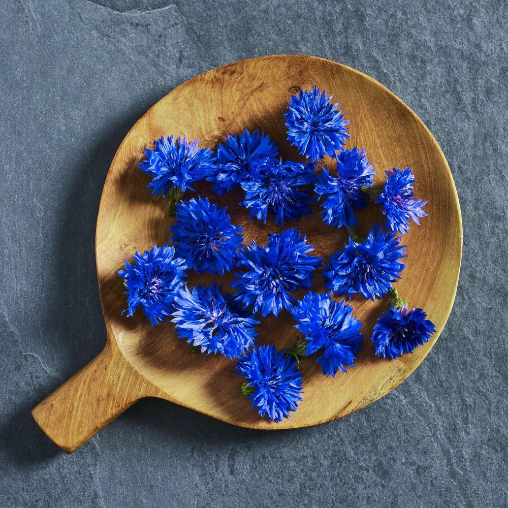 Centaurea Blue Boy Cornflower Seeds - Australian Wheatgrass