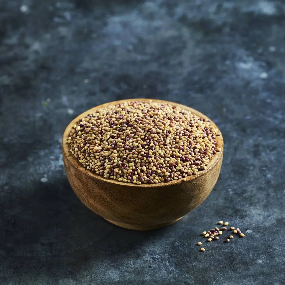Red clover sprouting seeds for growing clover sprouts - Australian Wheatgrass