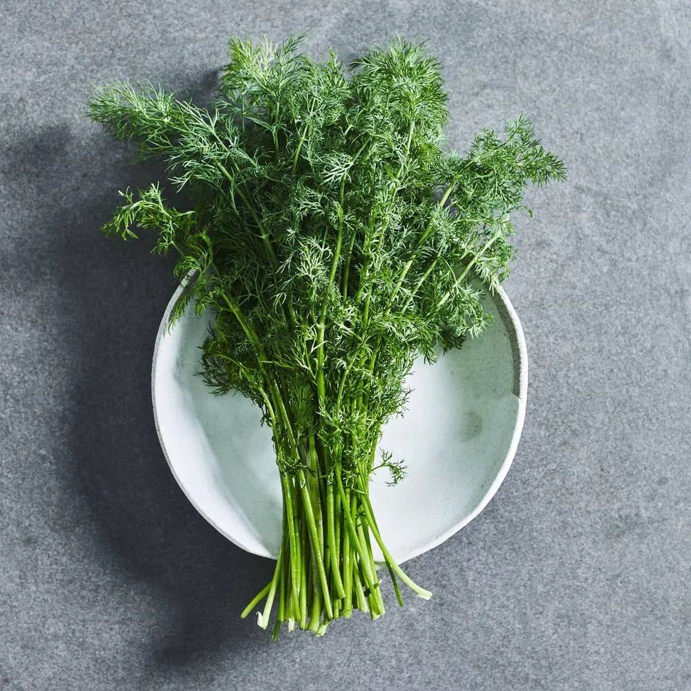 Dill Seeds - Herbs - Australian Wheatgrass