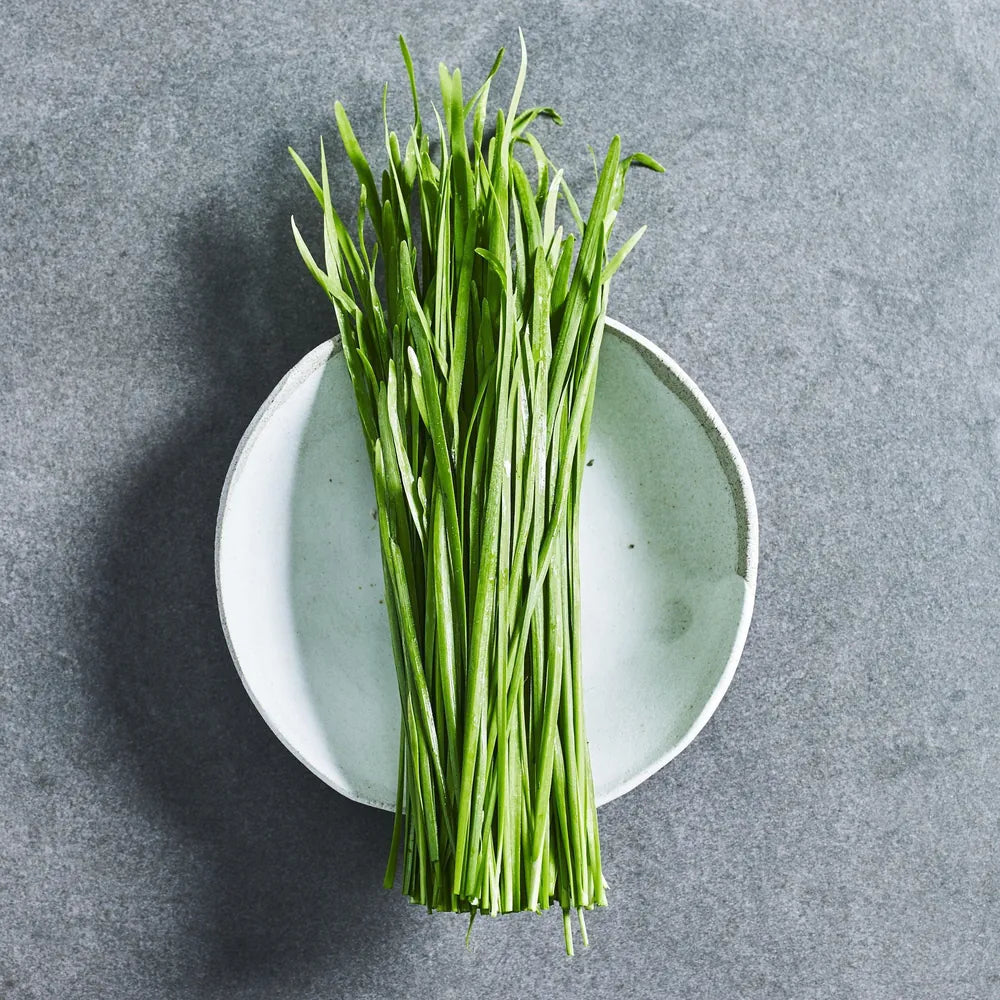Garlic Chive Seeds - Herbs - Australian Wheatgrass