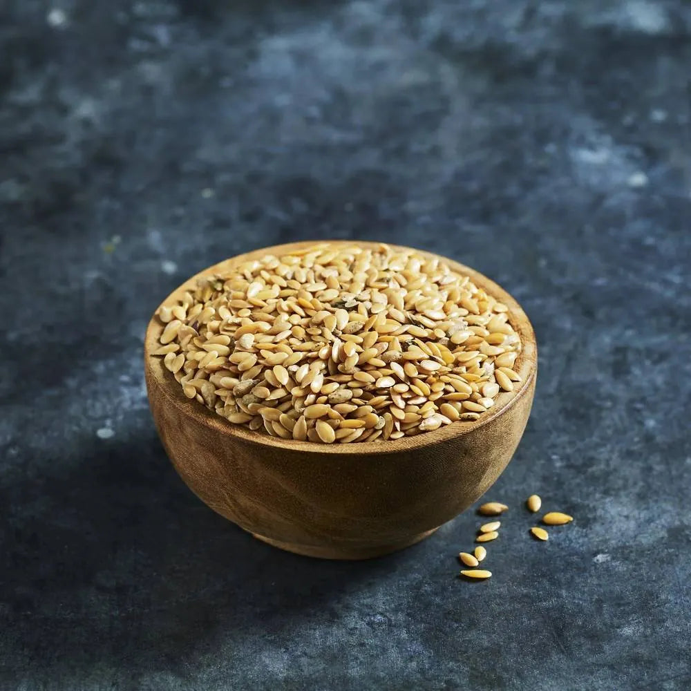 Organic golden linseed also know as flaxseed for sprouting and culinary use