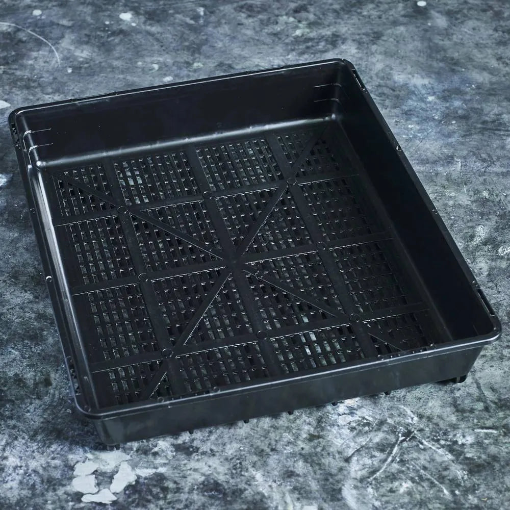 Grow Trays - Australian Wheatgrass