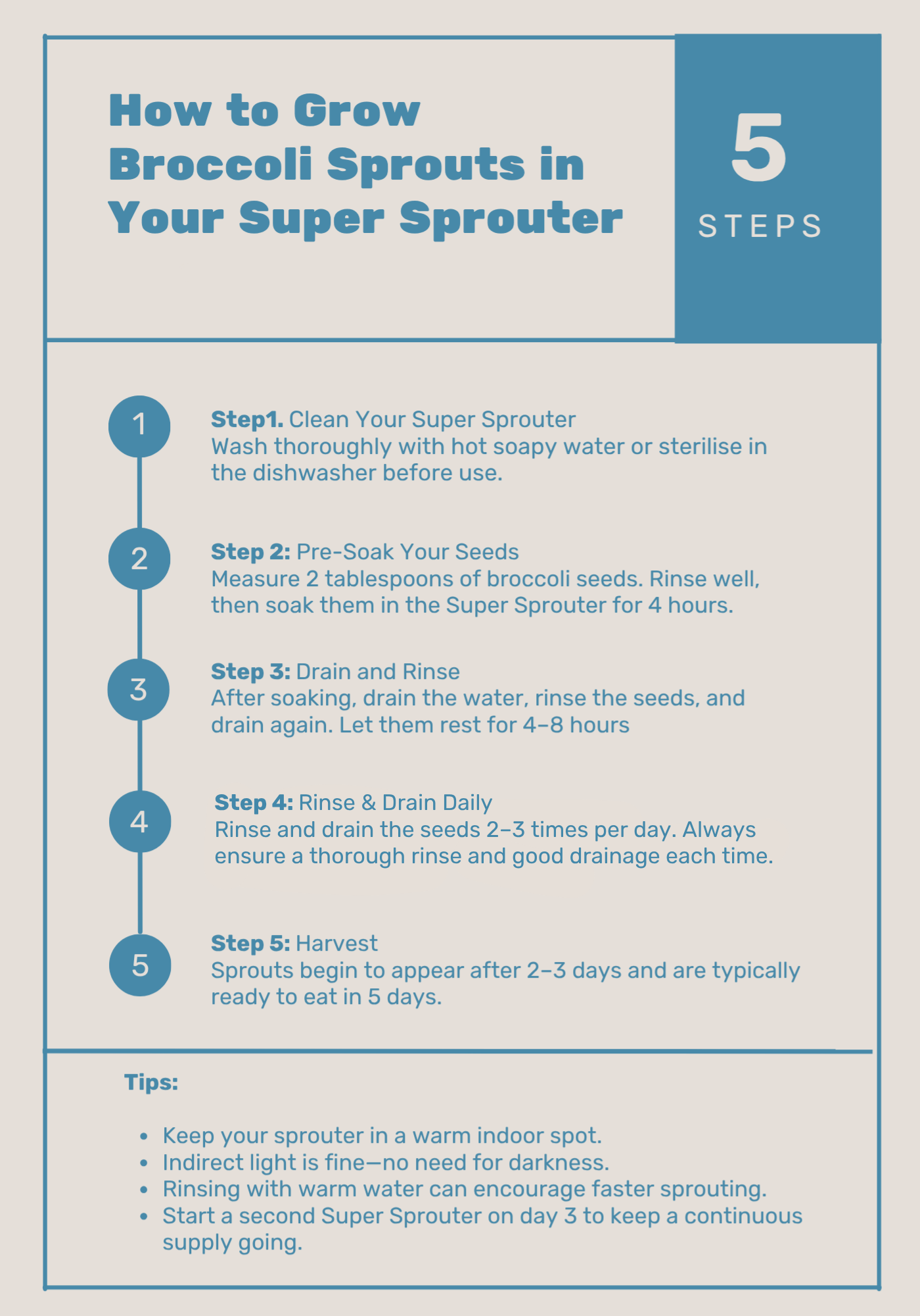 Instructions for growing broccoli sprouts in a Super Sprouter with five steps listed.
