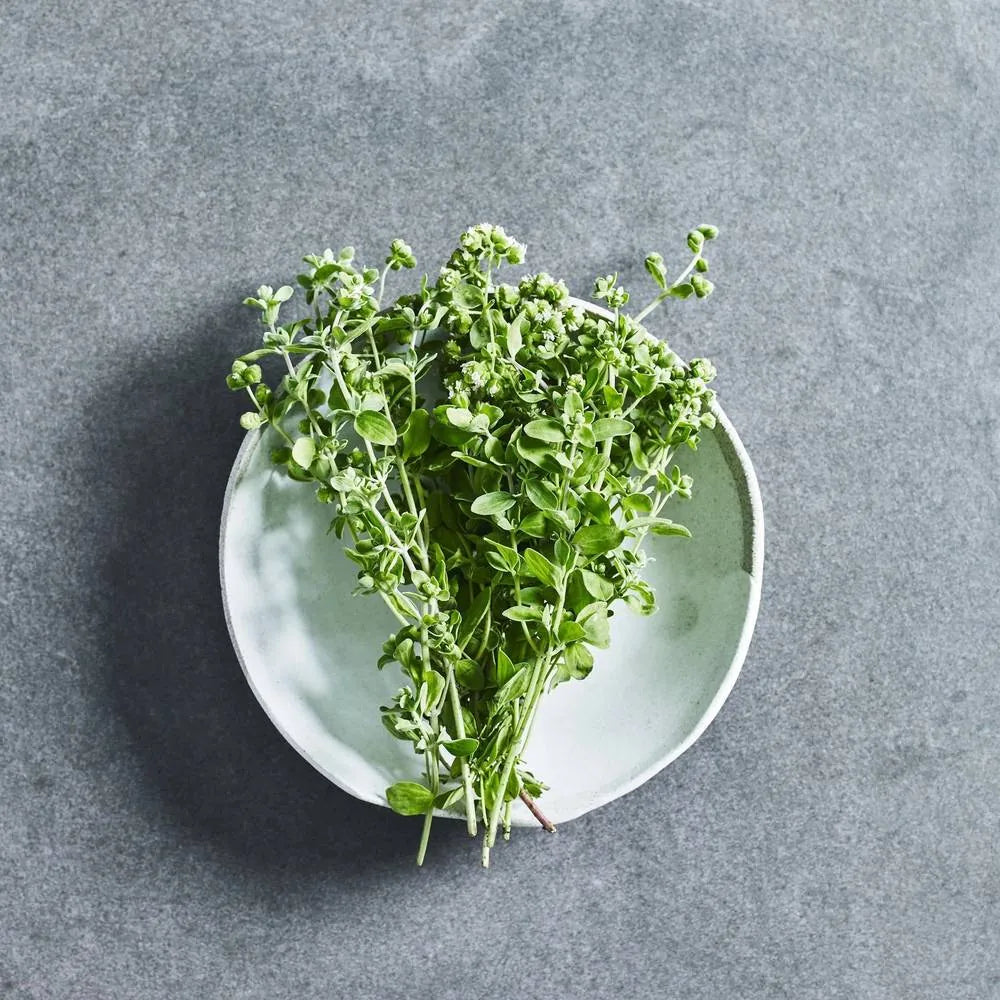 Marjoram Seeds - Herbs - Australian Wheatgrass