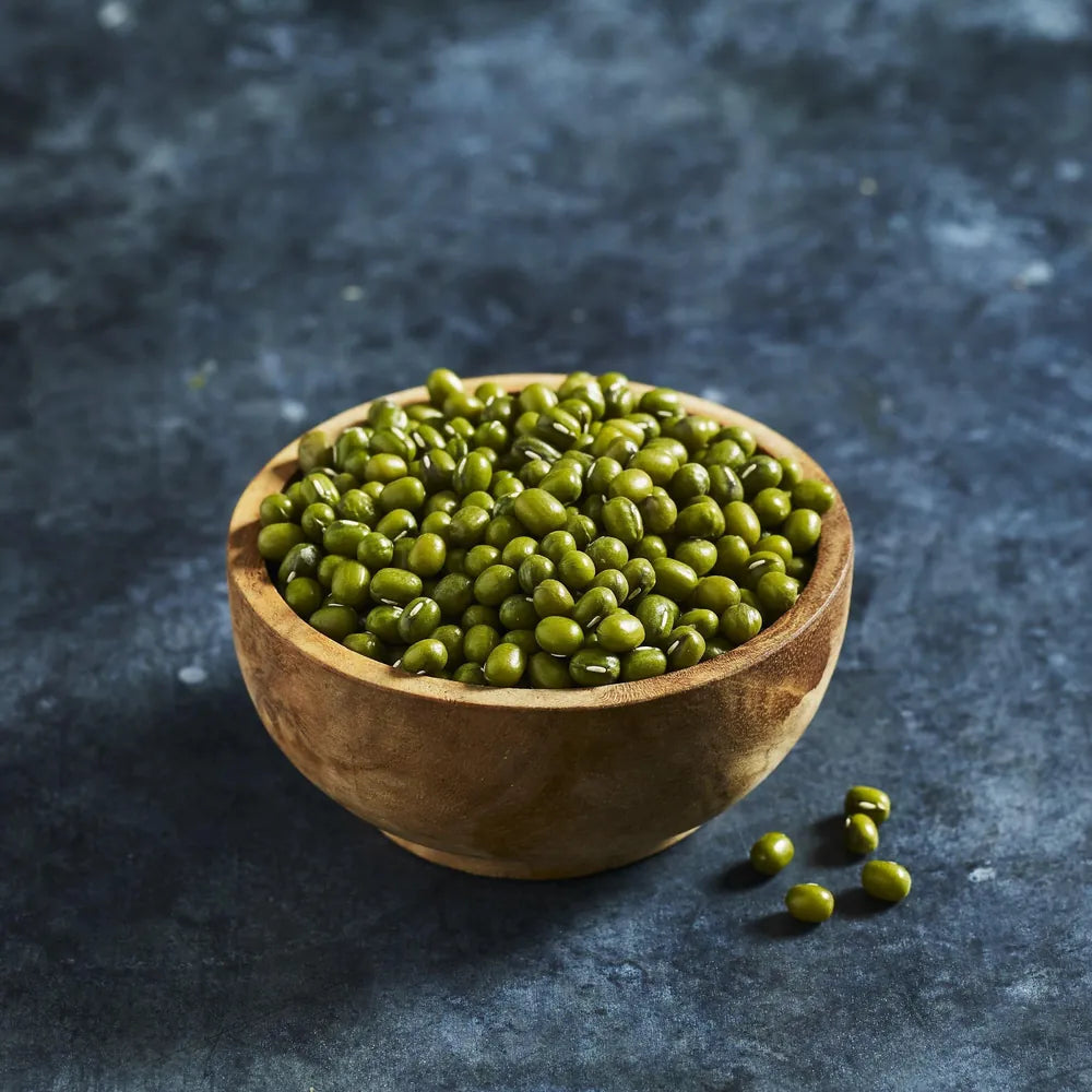 Mung bean sprouting seeds for growing bean sprouts 
