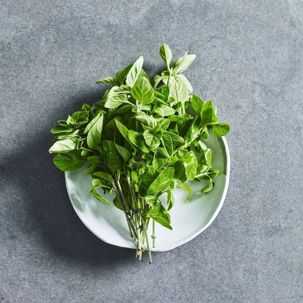 Oregano Seeds - Herbs - Australian Wheatgrass