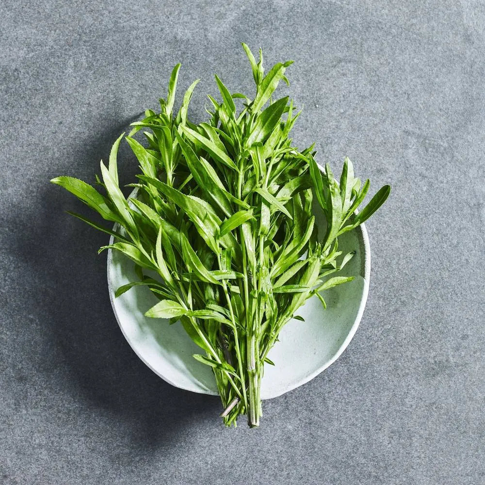 Tarragon Seeds - Herbs - Australian Wheatgrass