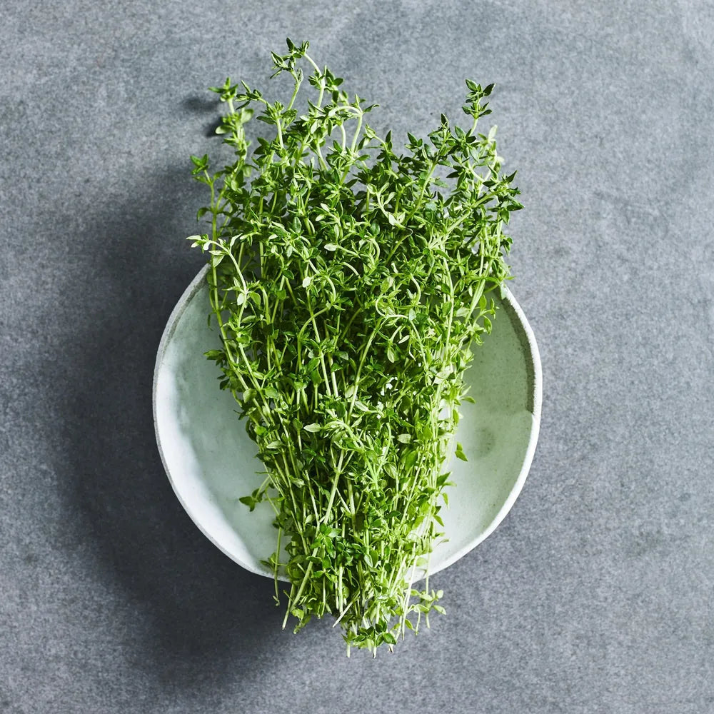 Thyme Seeds - Herbs - Australian Wheatgrass