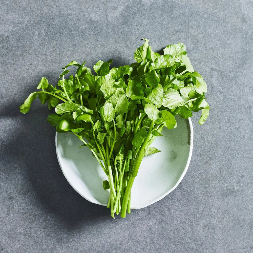 Watercress Seeds For Growing Herbs - Australian Wheatgrass