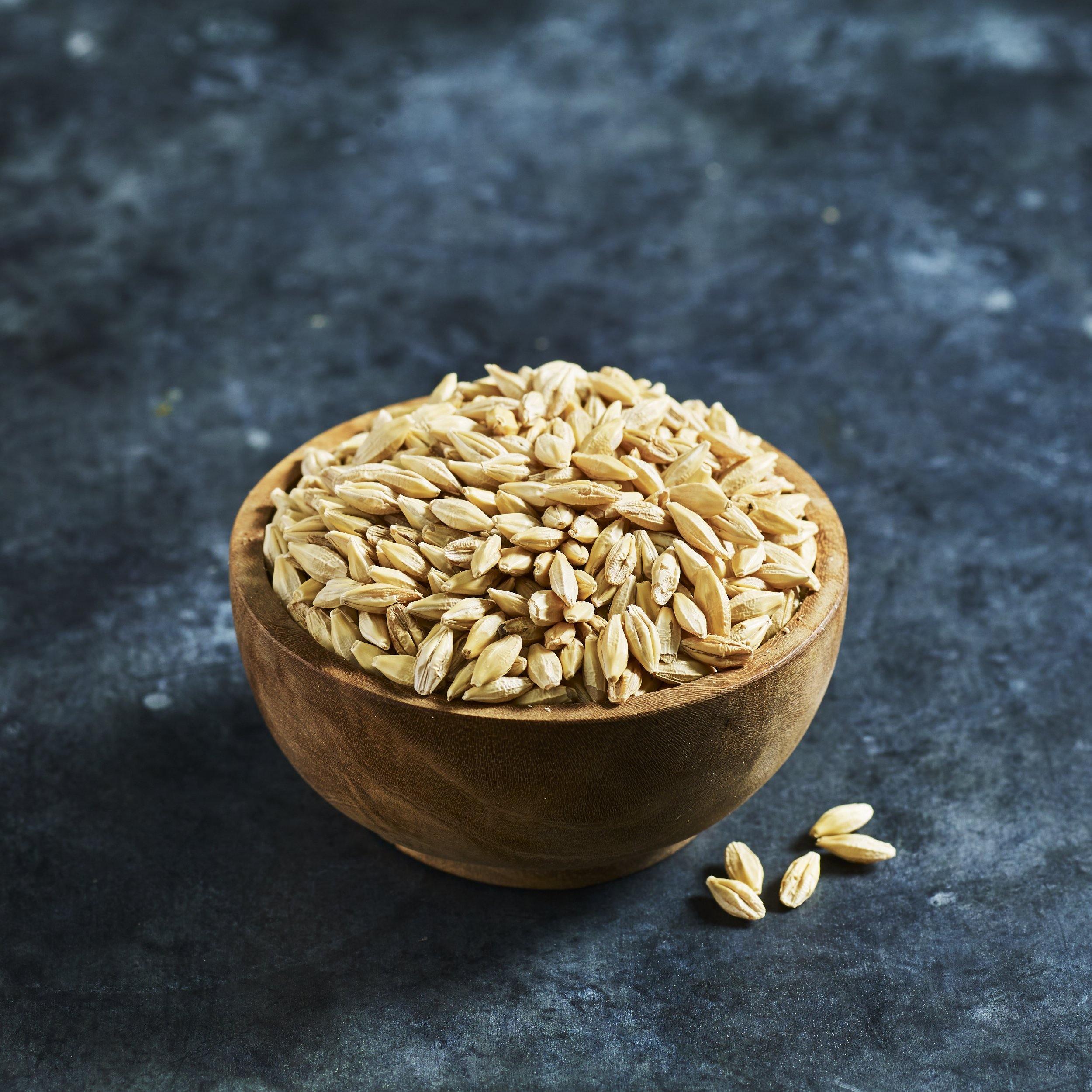 Barley Grain Seeds - Microgreens - Australian Wheatgrass