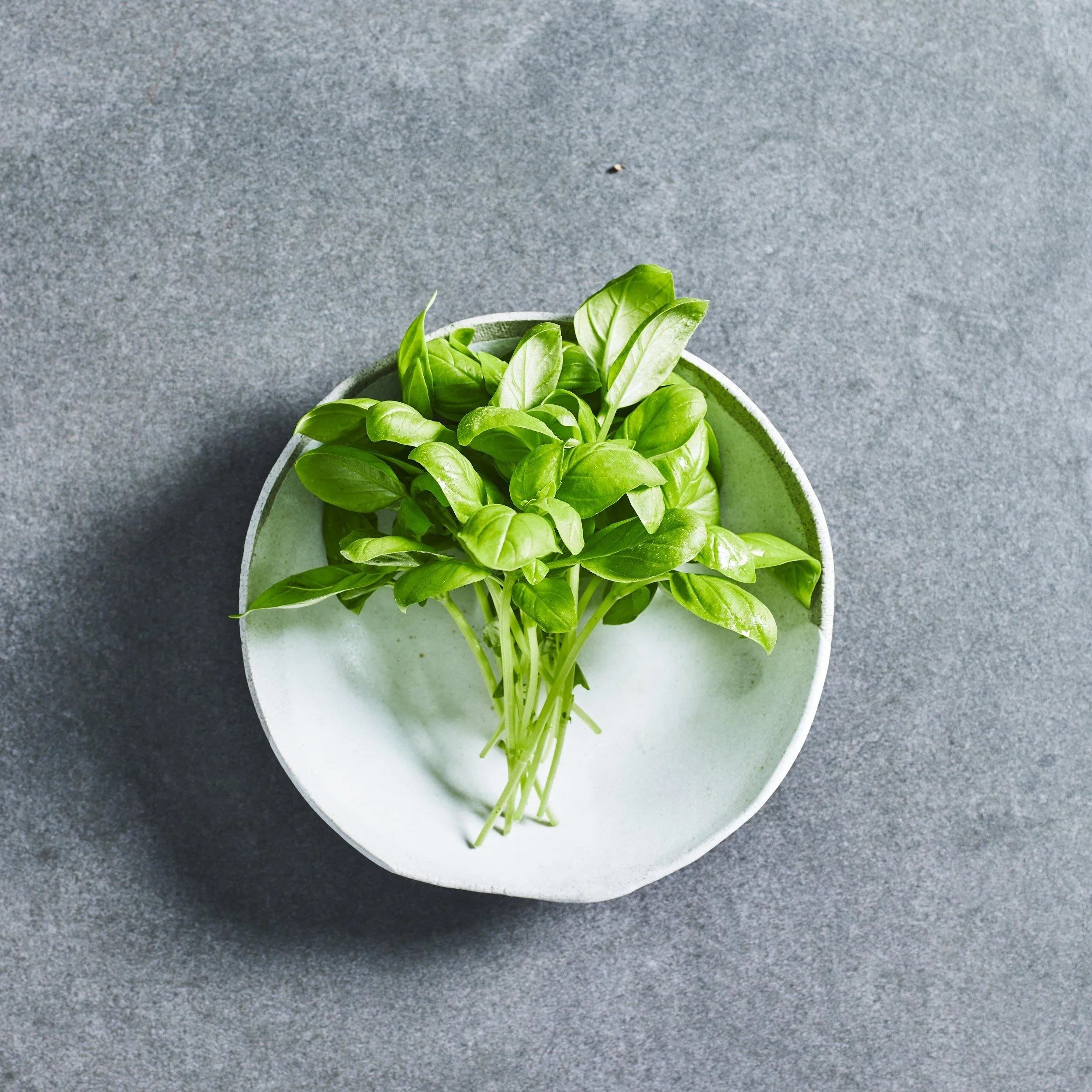 Basil Sweet Seeds - Herbs - Australian Wheatgrass