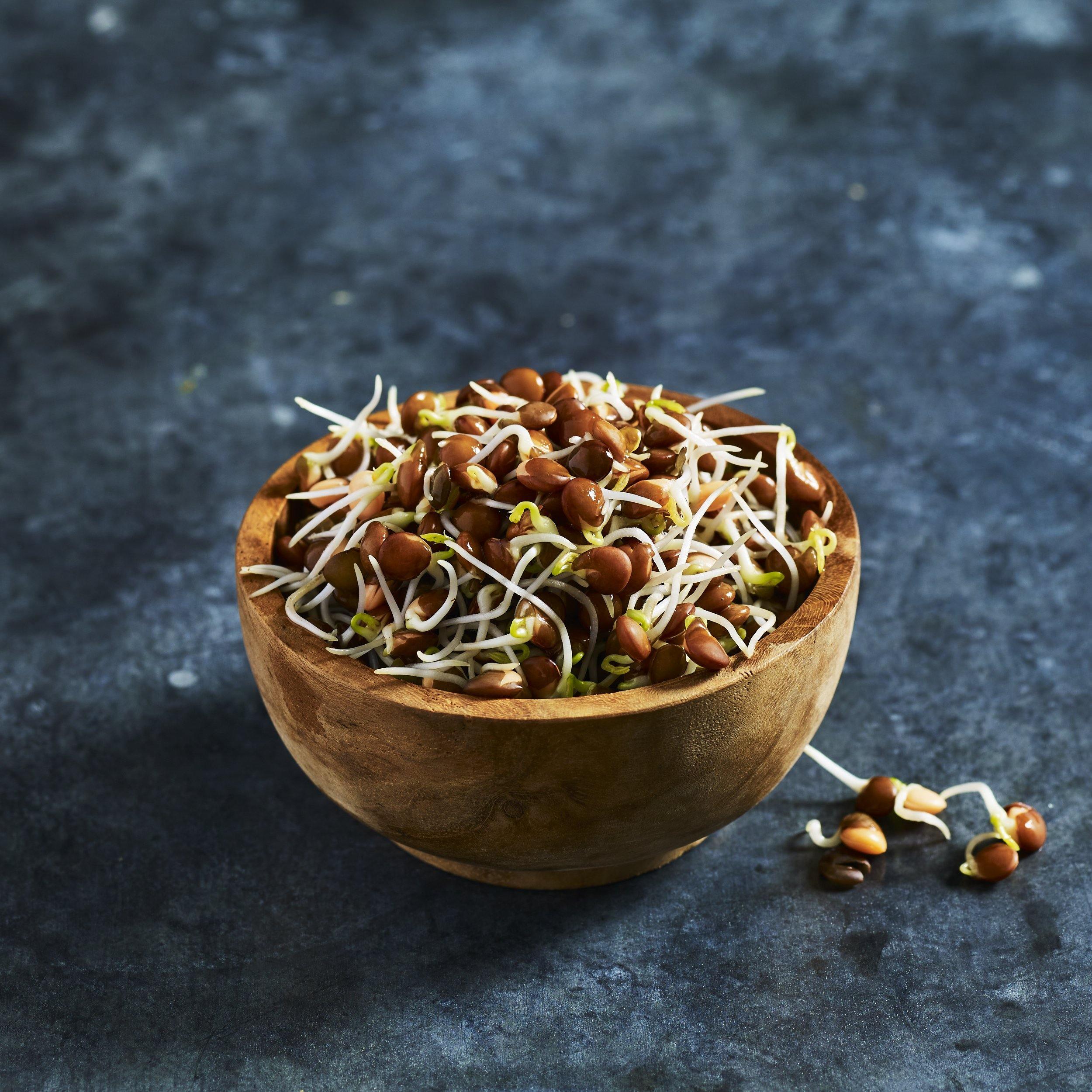 Lentil Seeds - Black - Australian Wheatgrass