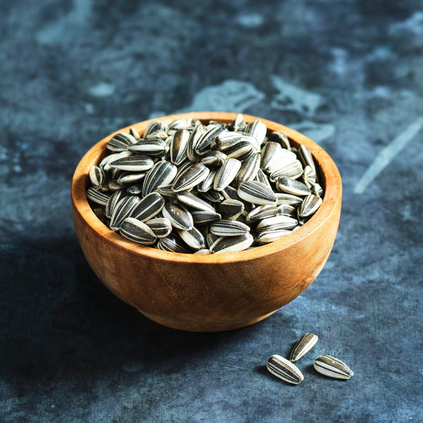 Sunflower Grey Striped sprouting seeds in a bowl