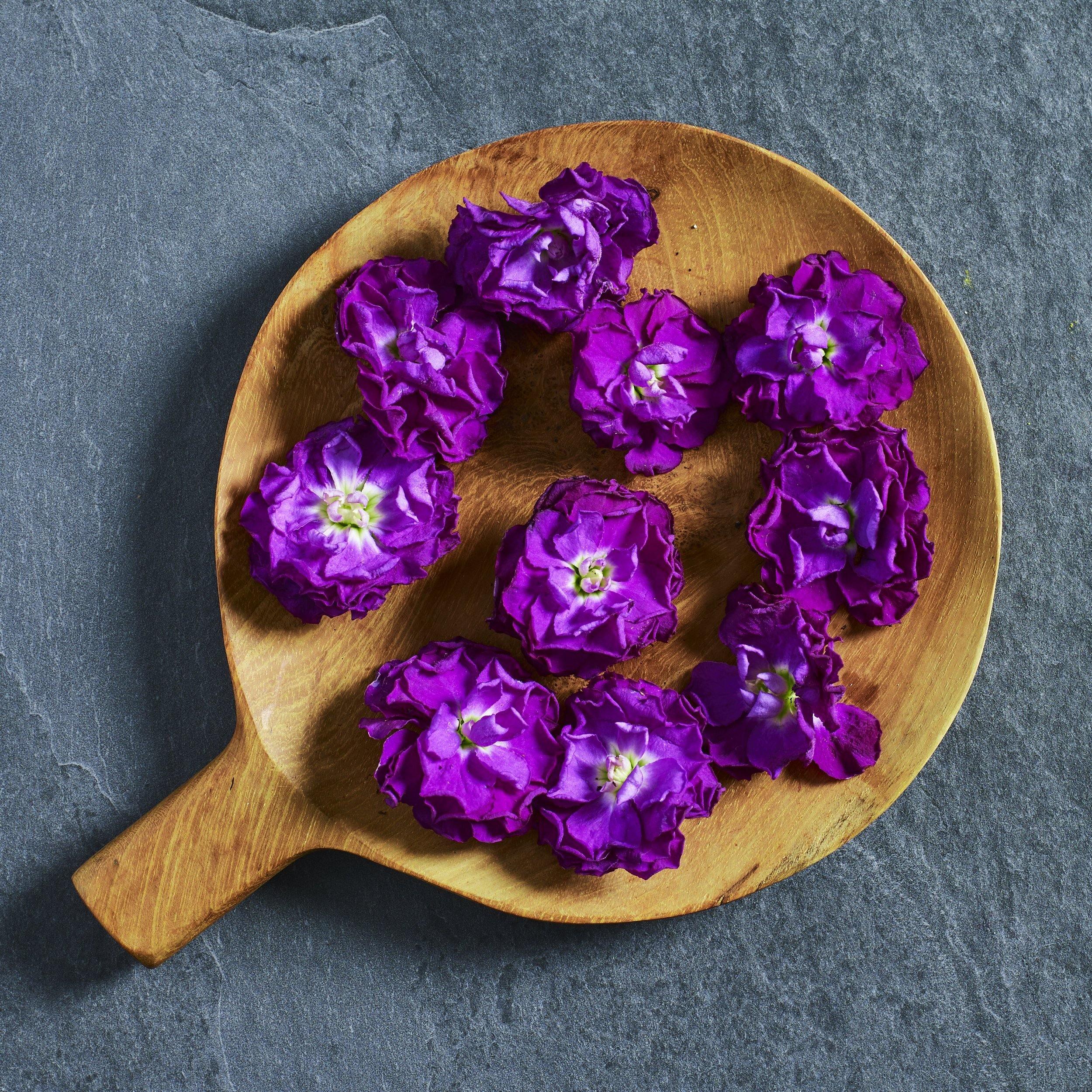Stock Iron Purple Seed - Australian Wheatgrass