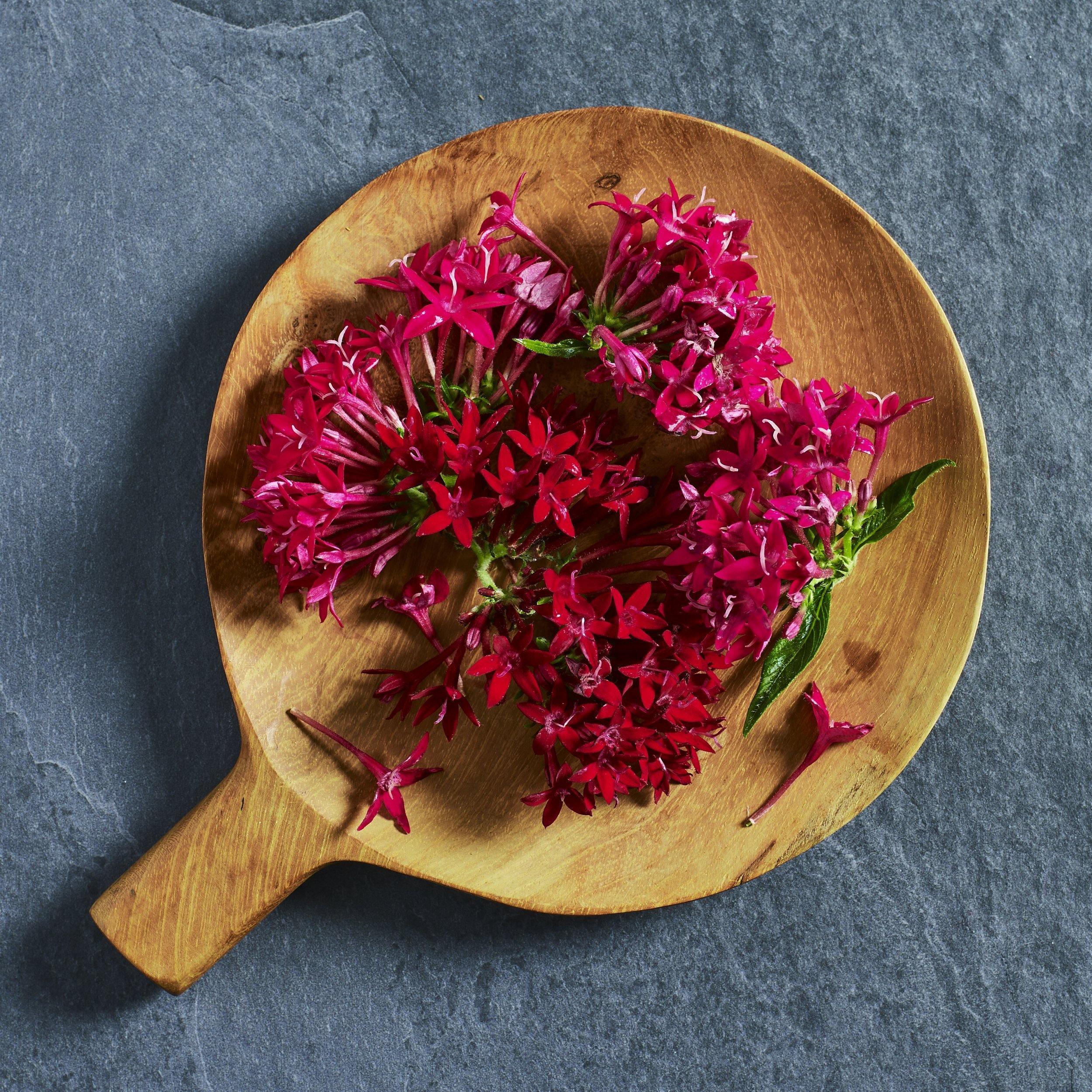 Summer Stars Seeds for Growing Edible Flowers - Australian Wheatgrass