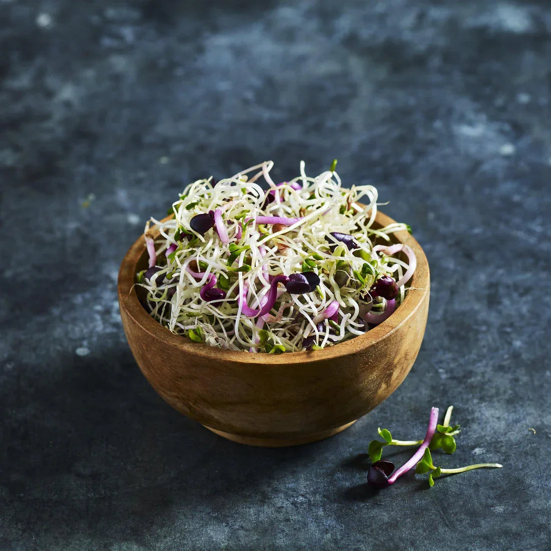 Sprouting Kit For Beginners - Australian Wheatgrass