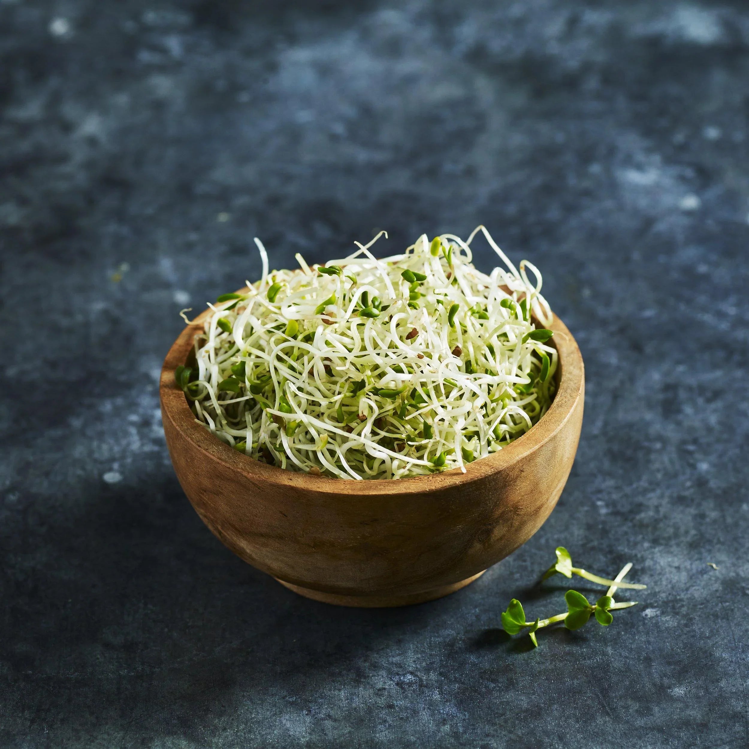 Alfalfa Seeds - Australian Wheatgrass