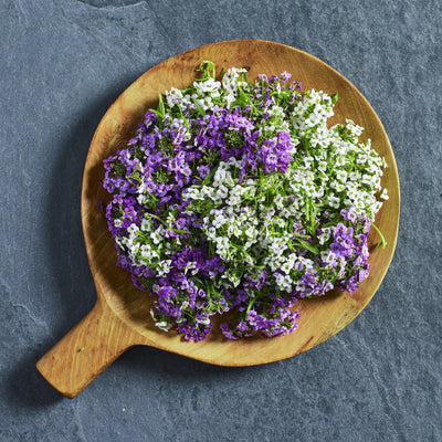 Alyssum Easter Bonnet Seed Mix - Australian Wheatgrass