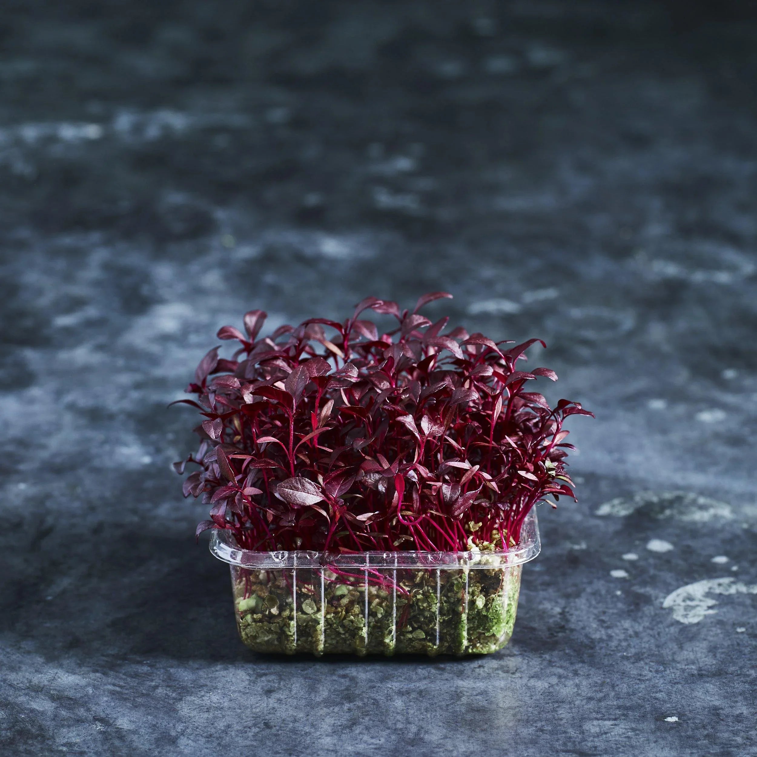 Amaranth Seeds - Red Garnet - Australian Wheatgrass