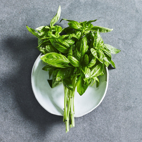 Basil Seeds Genovese Grow Herbs Buy Herb Seeds Online