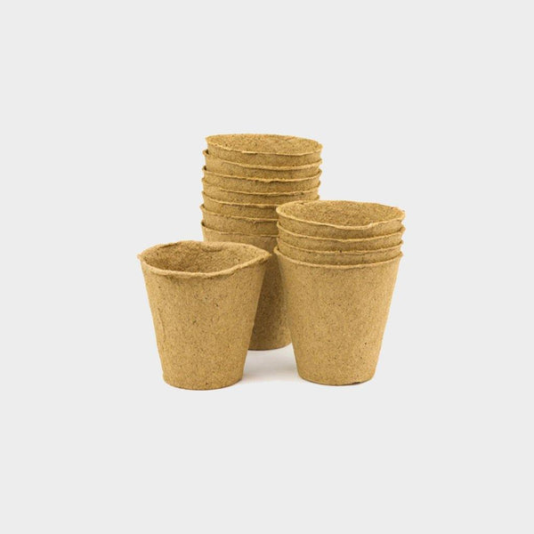 Biodegradable pots - Australian Wheatgrass