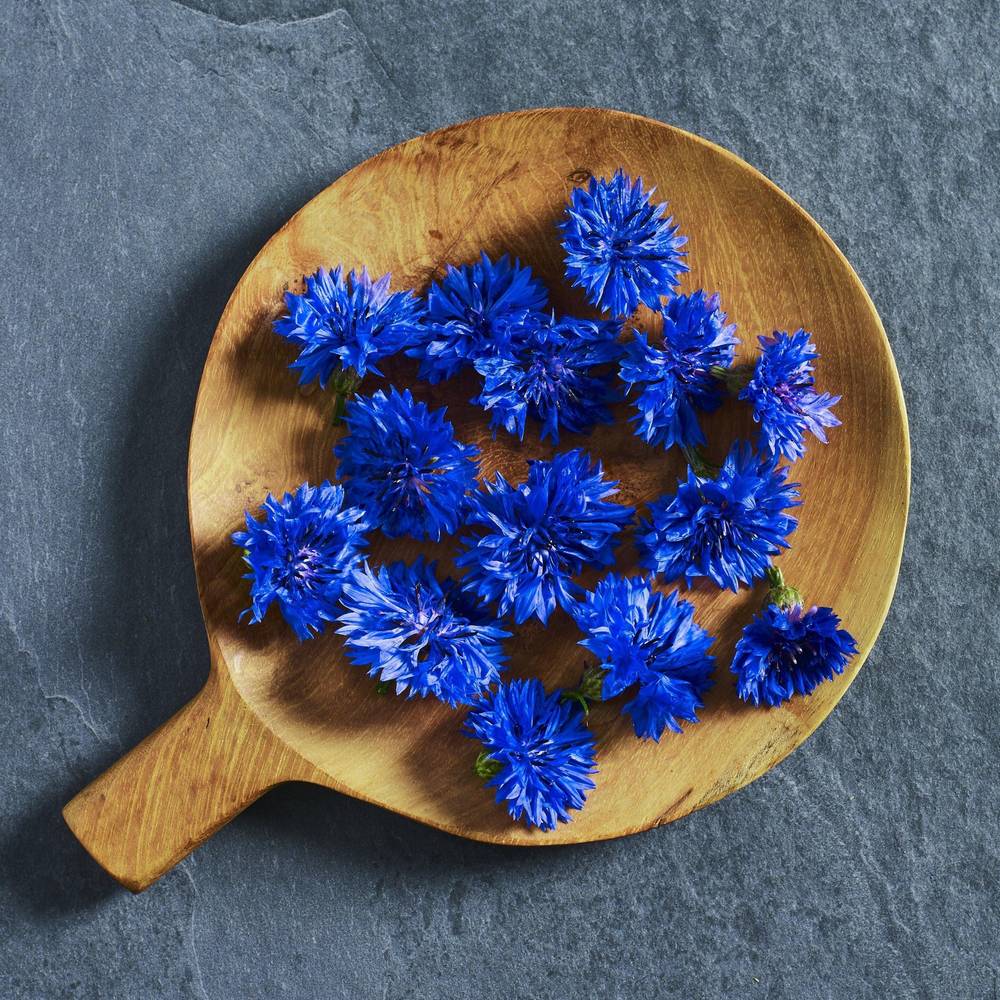 Centaurea Blue Boy Cornflower Seeds - Australian Wheatgrass