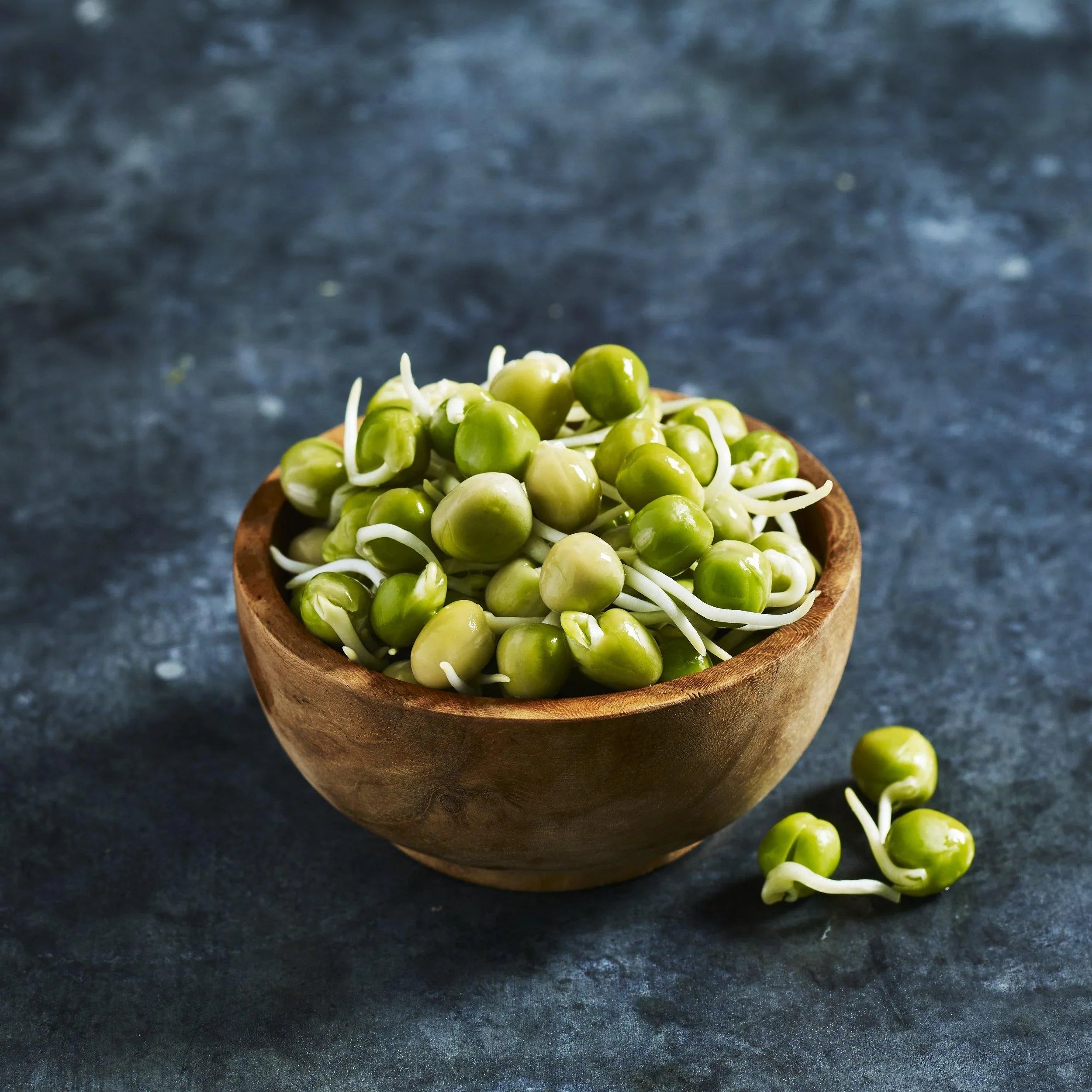 Pea Seeds - Blue - Australian Wheatgrass