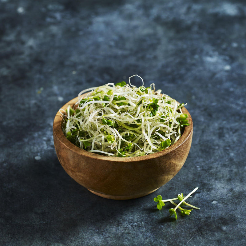 Broccoli Sprouts - Pre-packed - Australian Wheatgrass