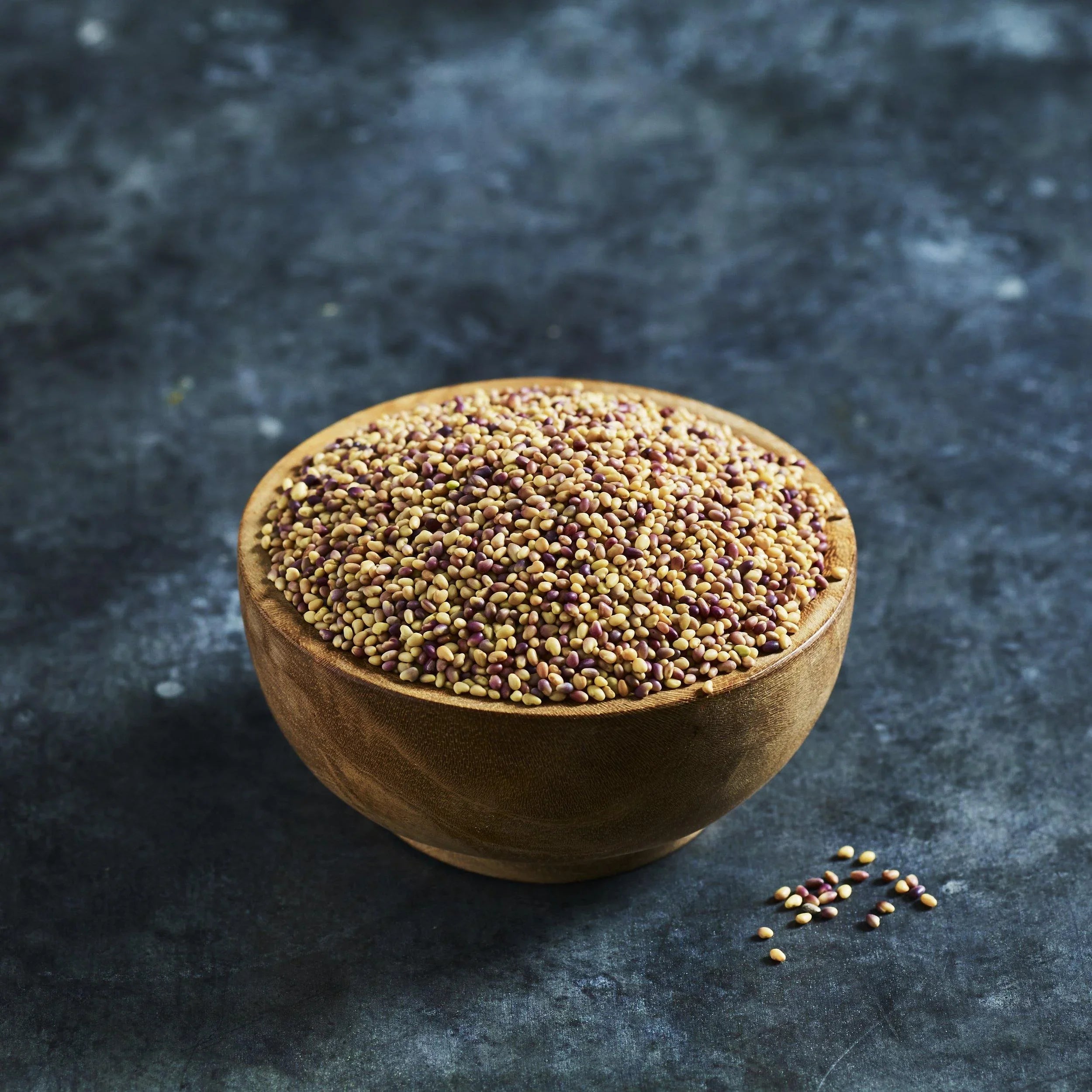 Clover Seeds - Red - Australian Wheatgrass