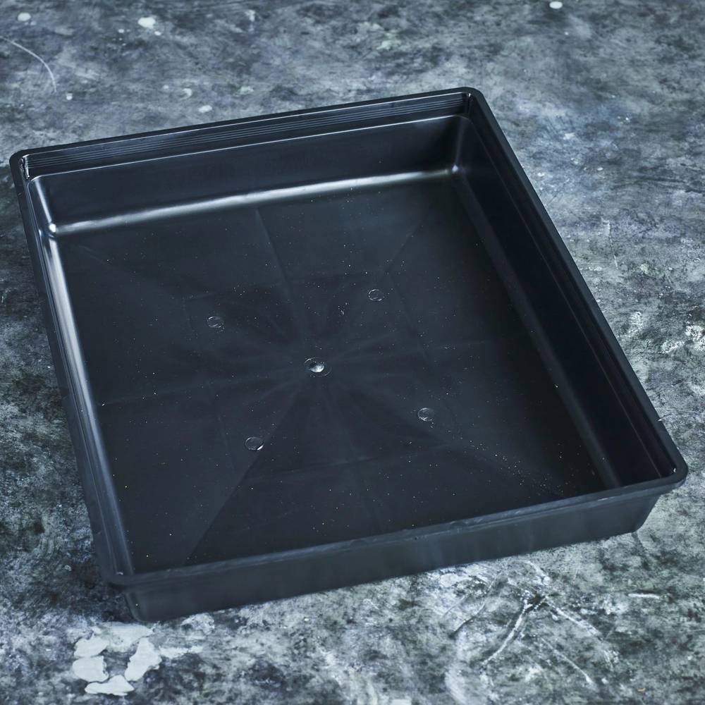 Drip Trays - Australian Wheatgrass