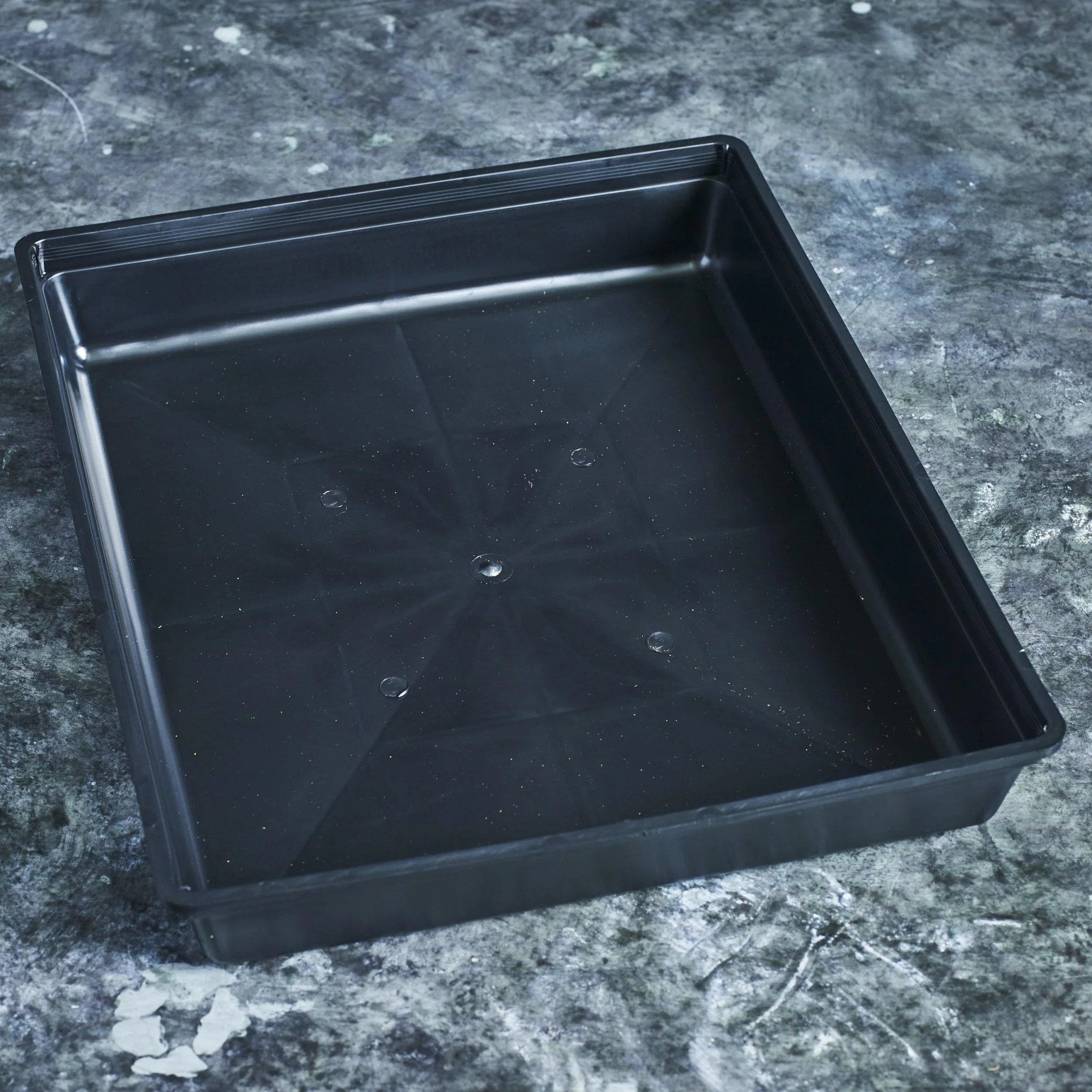 Drip Trays - Australian Wheatgrass