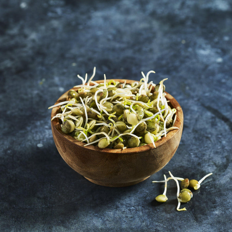 Lentil Seeds - Green - Australian Wheatgrass