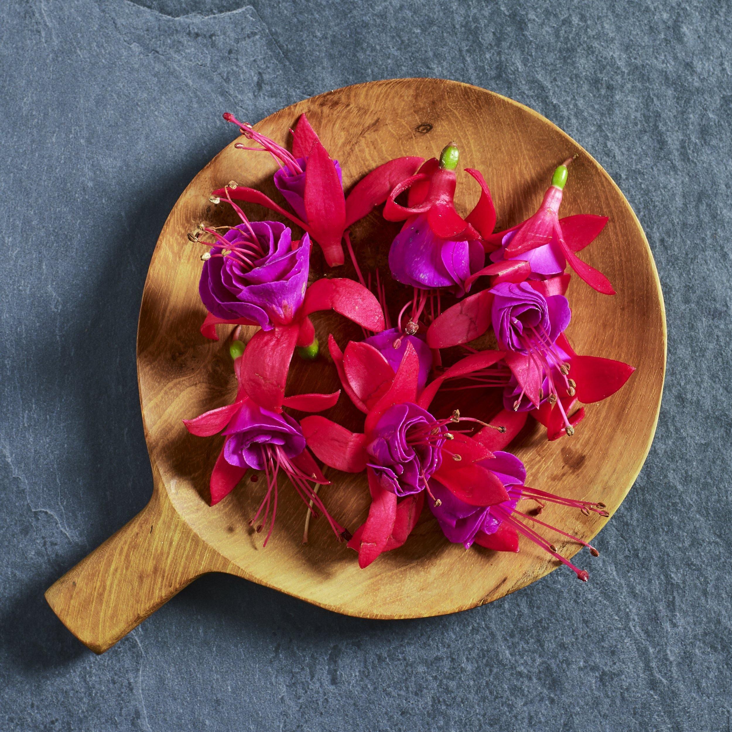 Fuchsia Seeds Pink PiROUETTE for Growing Edible Flowers - Australian Wheatgrass