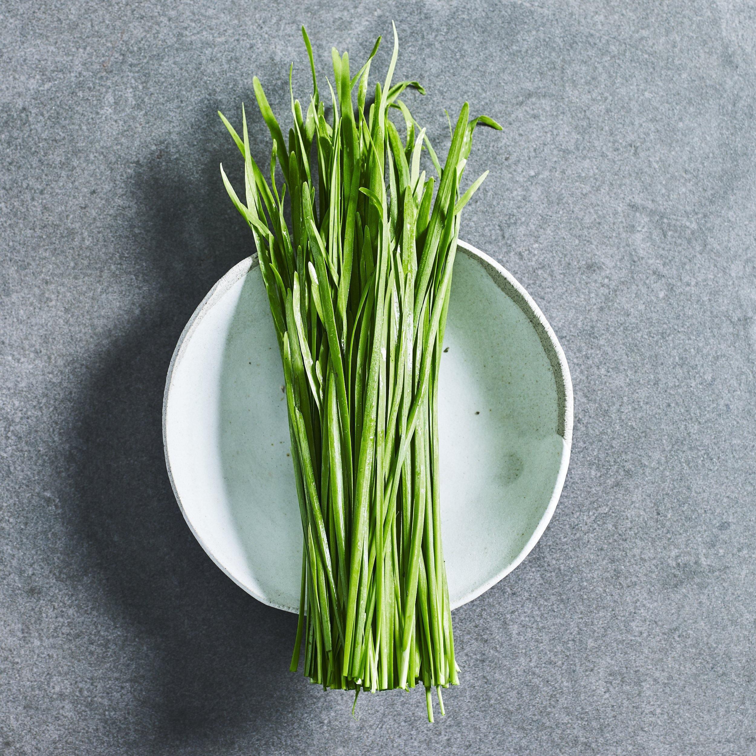 Garlic Chive Seeds - Herbs - Australian Wheatgrass