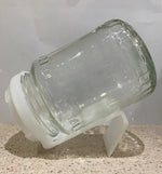 Glass Seed Sprouter - Untamed - Australian Wheatgrass