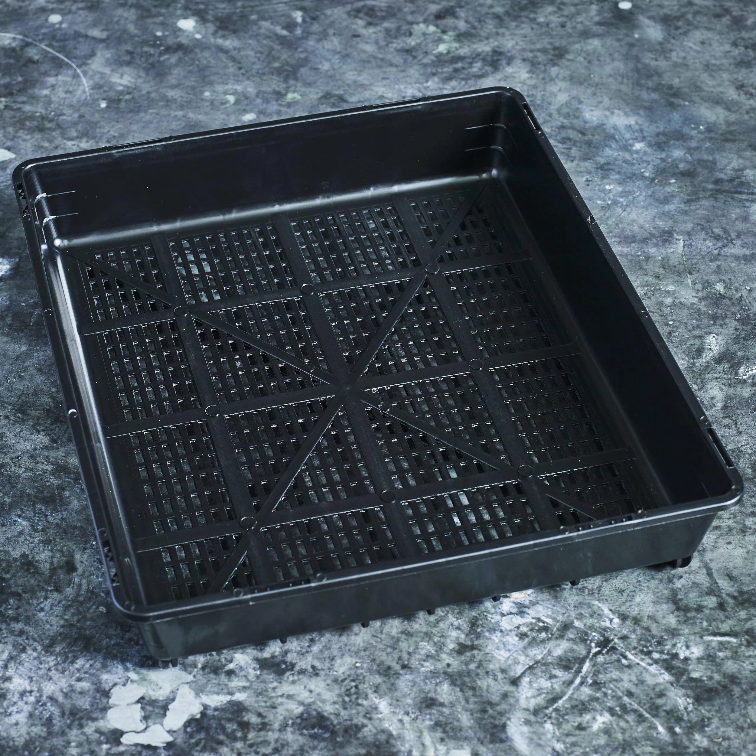 Grow Trays - Australian Wheatgrass