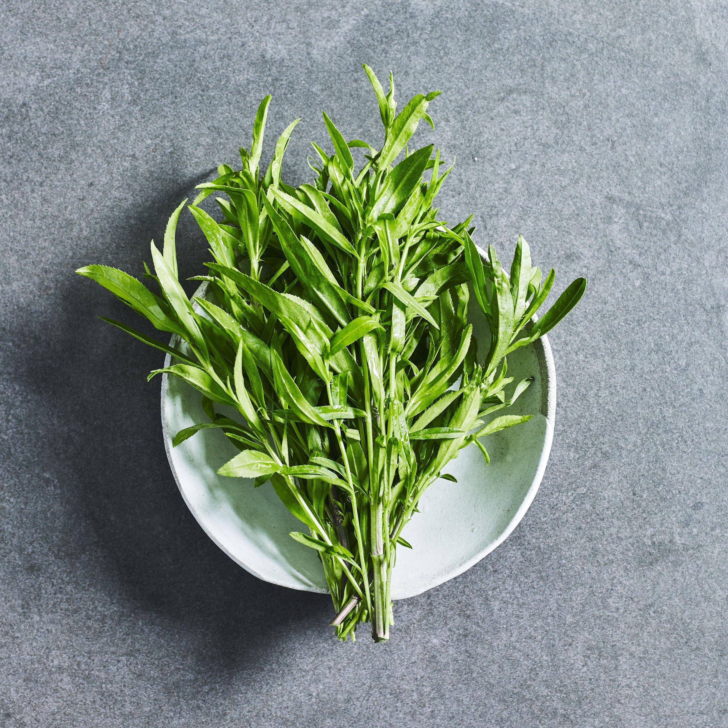 Tarragon Seeds - Herbs - Australian Wheatgrass
