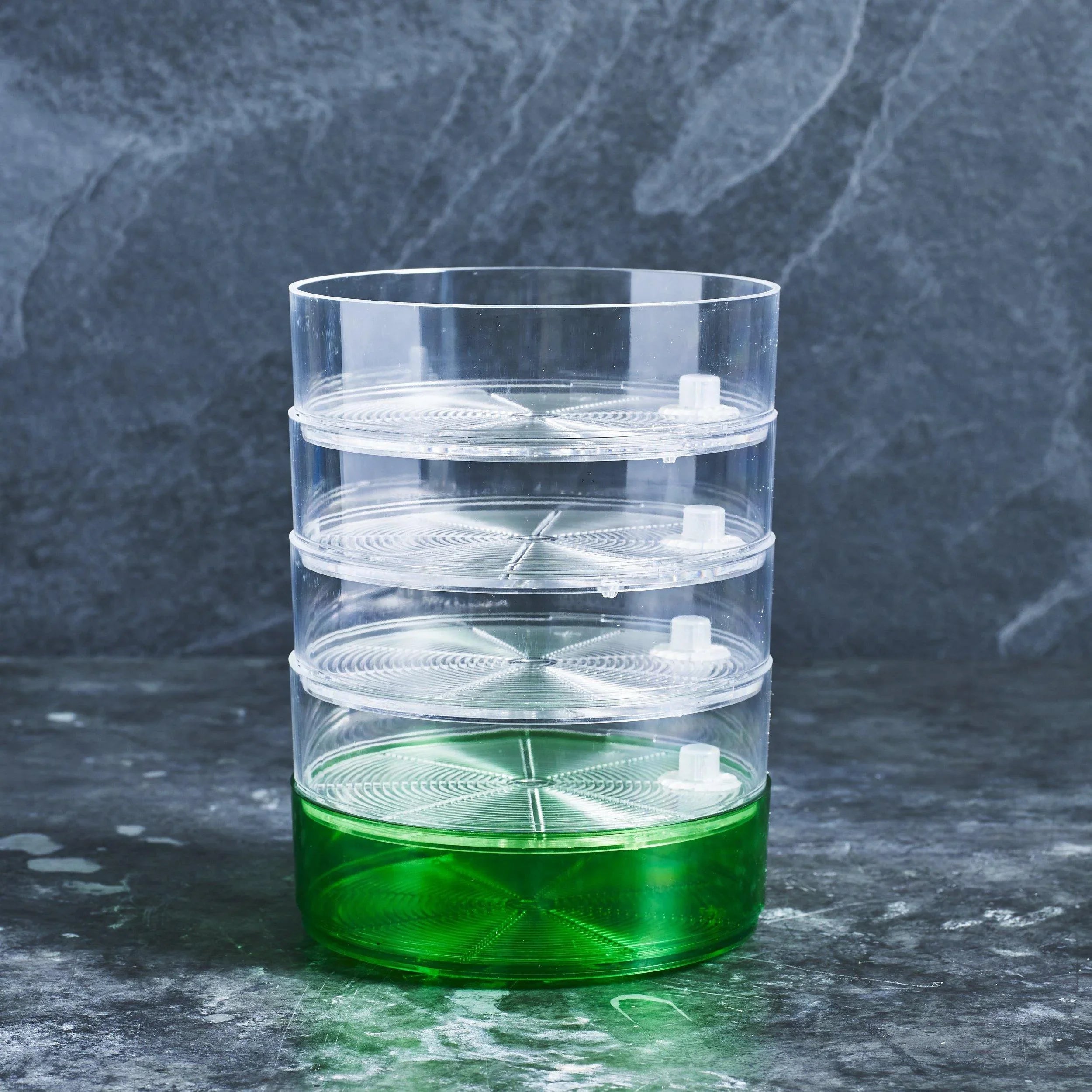 Kitchen Seed Sprouter - Mr Fothergills - Australian Wheatgrass