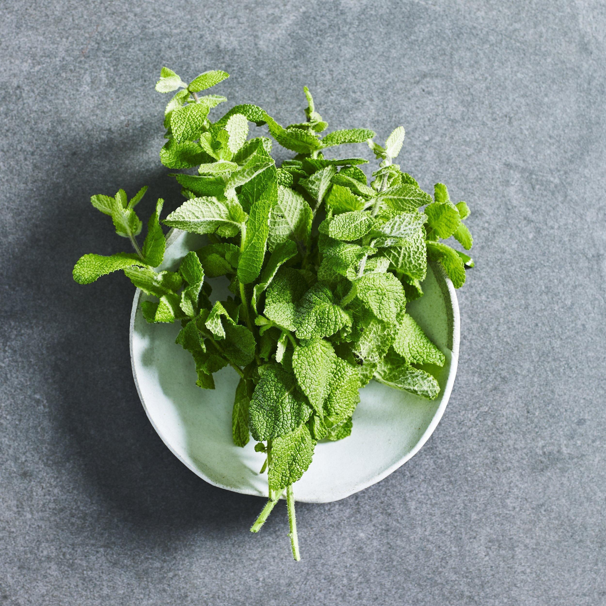 Lemon Balm Seeds - Herbs - Australian Wheatgrass