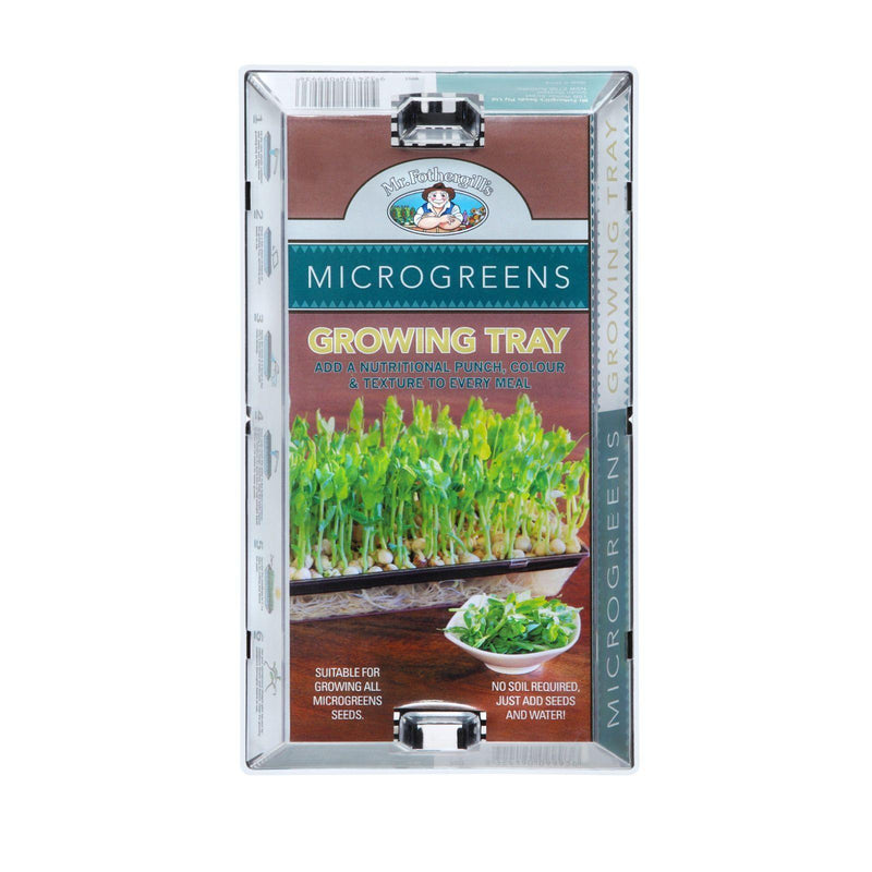 Microgreen Growing Tray - Australian Wheatgrass