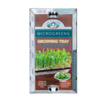 Microgreen Growing Tray - Australian Wheatgrass