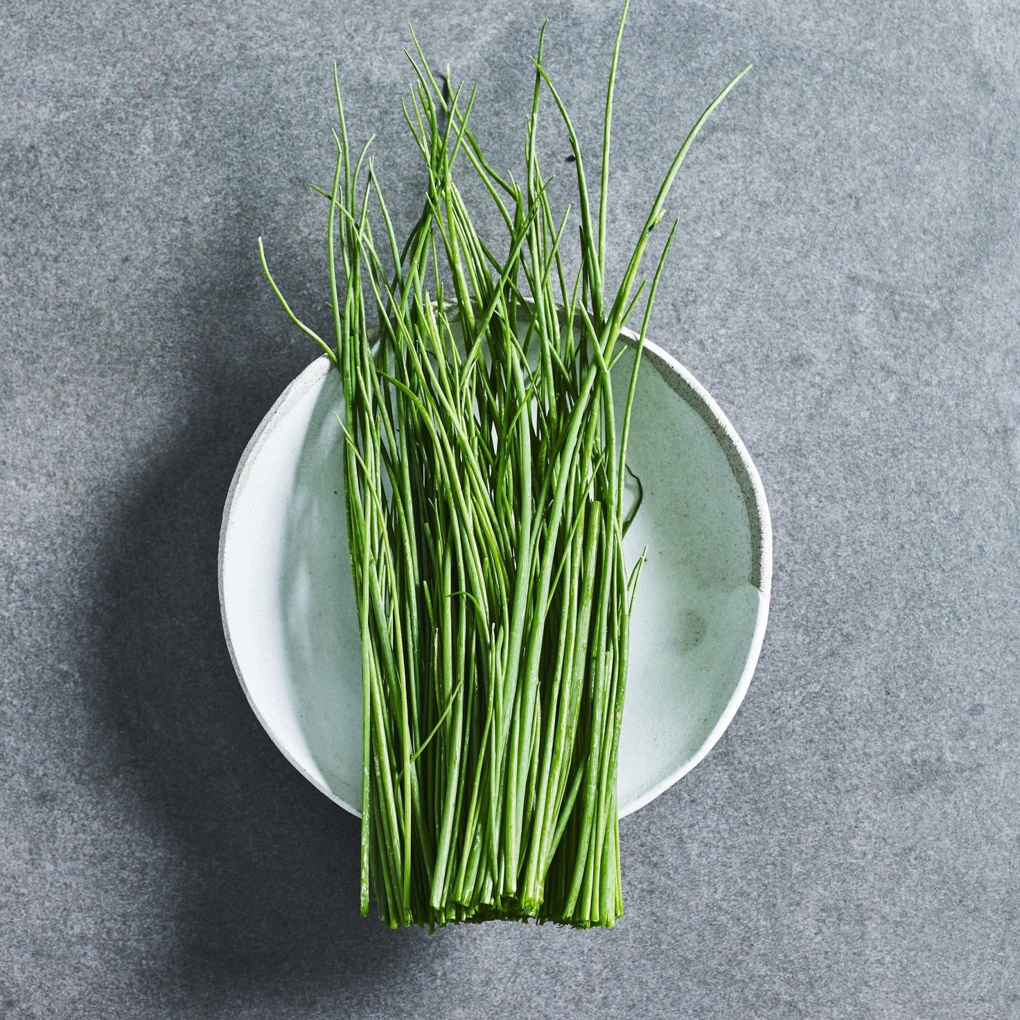 Onion Chive - Seeds - Australian Wheatgrass