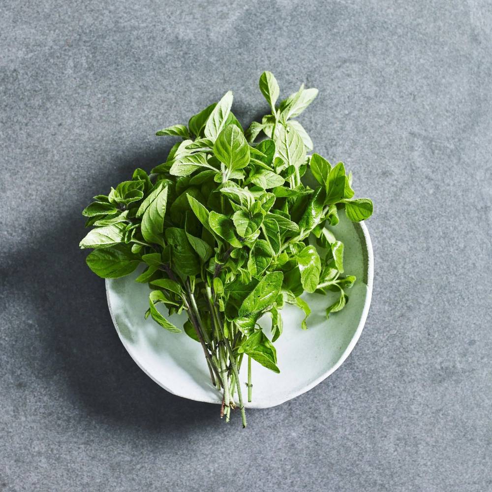 Oregano Seeds - Herbs - Australian Wheatgrass