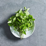 Oregano Seeds - Herbs - Australian Wheatgrass