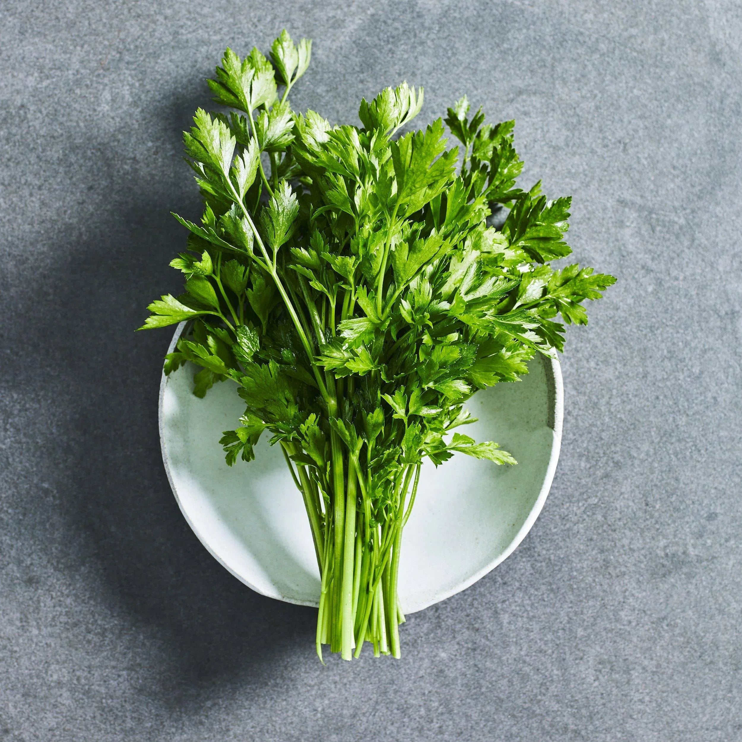 Parsley Italian Seeds - Herbs - Australian Wheatgrass