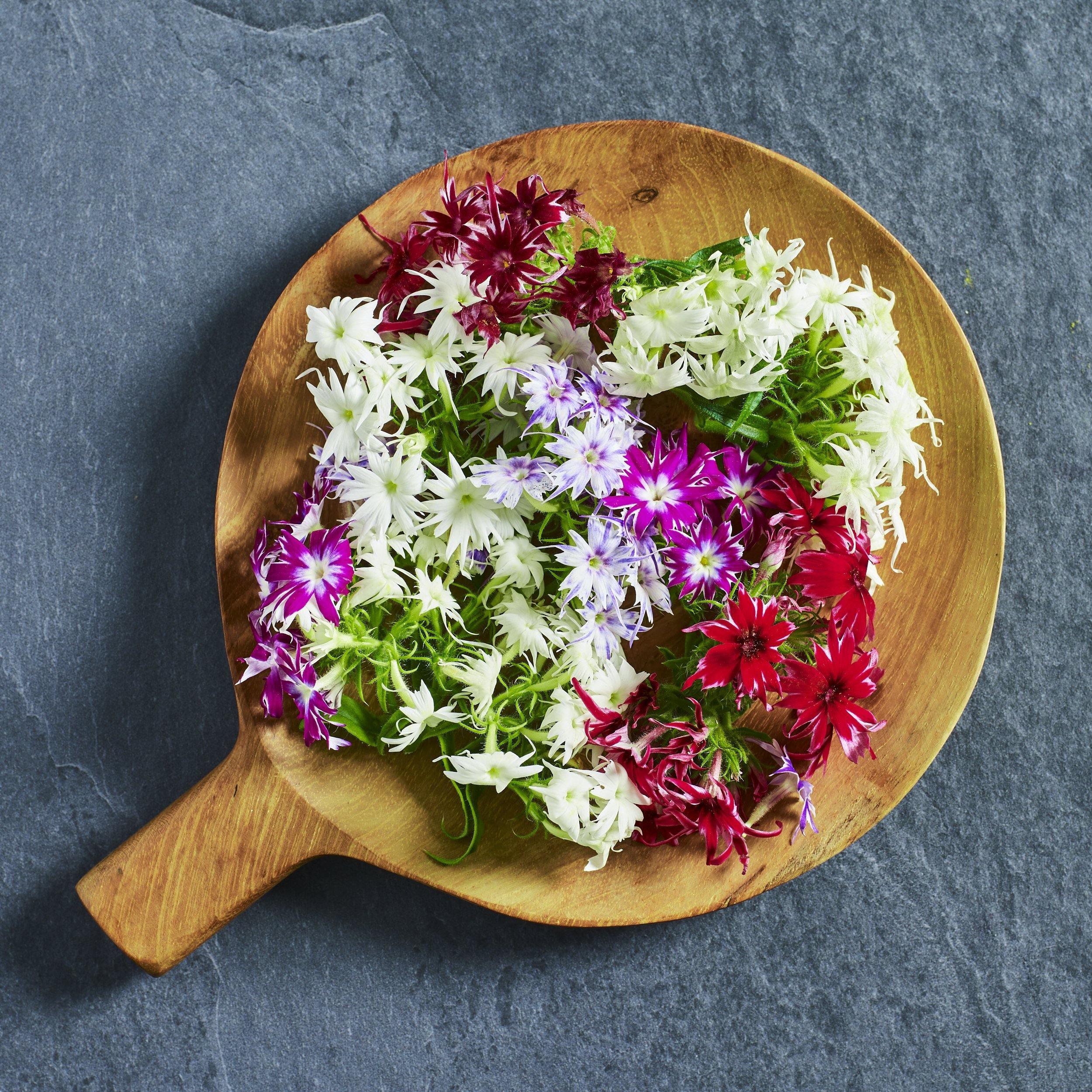 Phlox Popstars Mix Seeds - Australian Wheatgrass