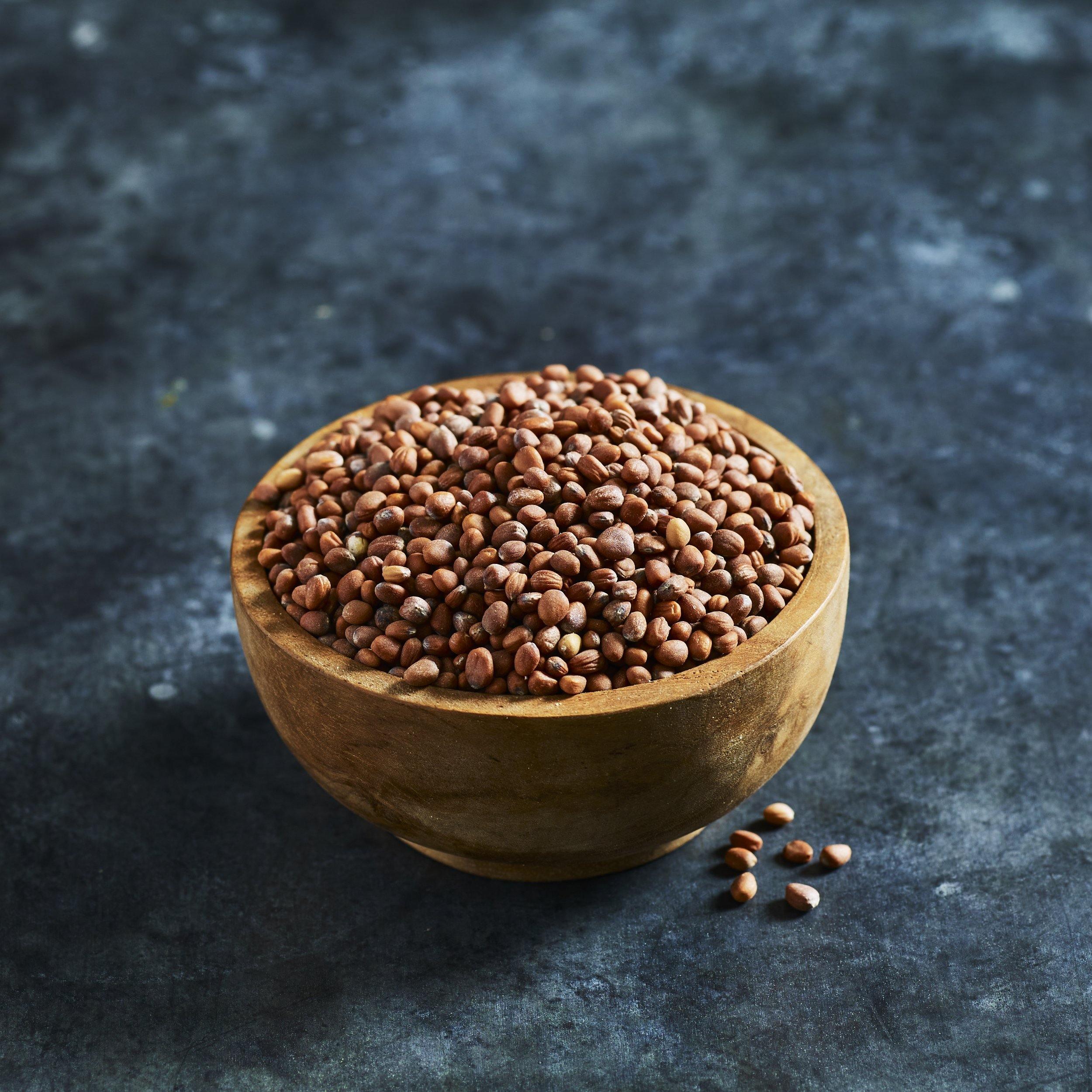 Radish Seeds - Green Daikon - Australian Wheatgrass