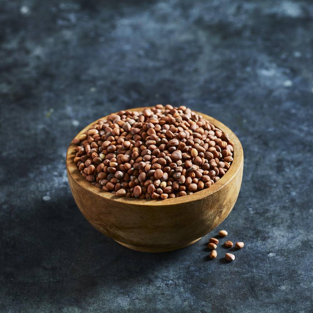 Radish Seeds - Daikon - Australian Wheatgrass