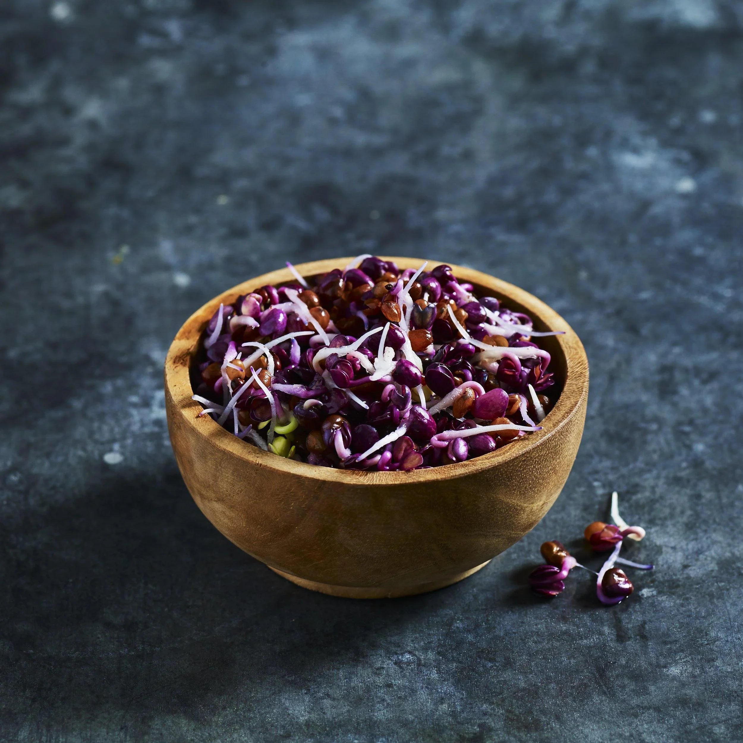 Radish Seeds - Purple - Australian Wheatgrass