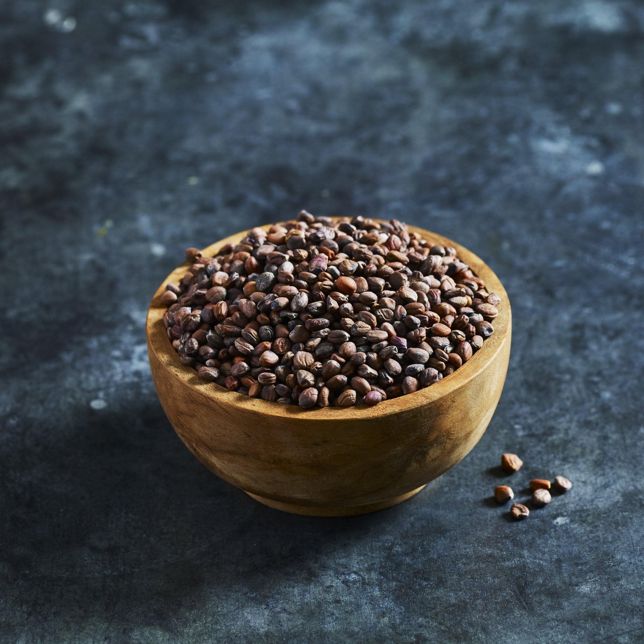 Radish Seeds - Sprouting - Australian Wheatgrass